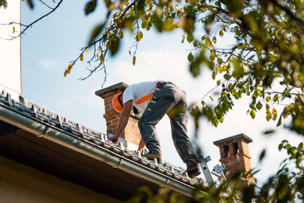 Best Flat Roof Repair Services  in Robersonville, NC
