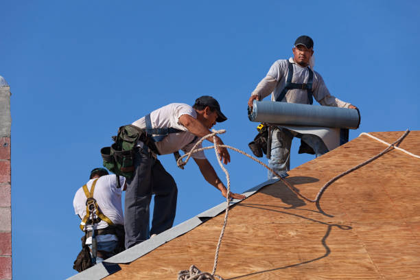 Best Residential Roof Replacement  in Robersonville, NC