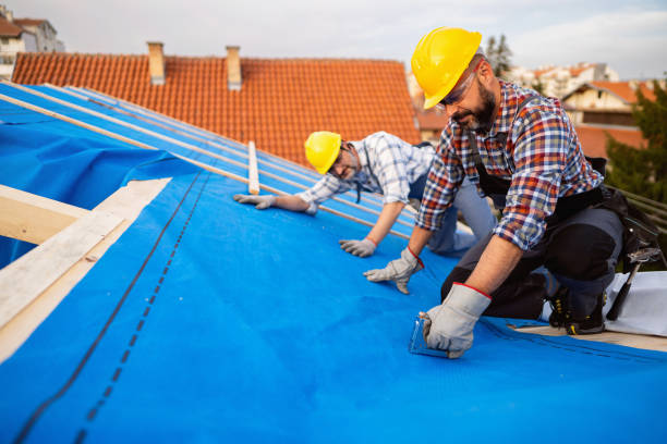 Best Affordable Roof Replacement  in Robersonville, NC