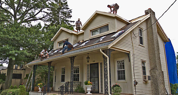 Best New Roof Installation  in Robersonville, NC