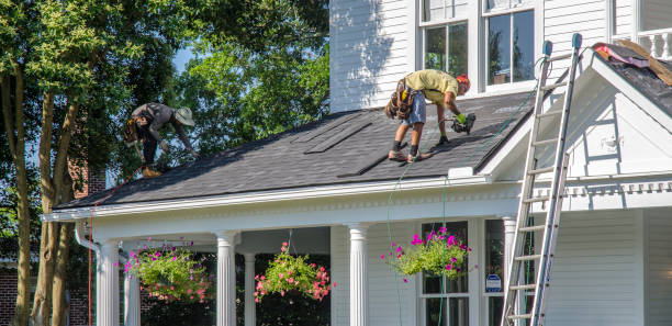 Best Storm Damage Roof Repair  in Robersonville, NC