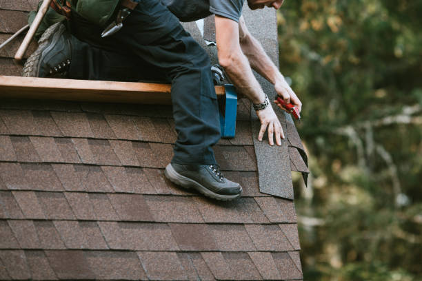 Best Roof Leak Repair  in Robersonville, NC